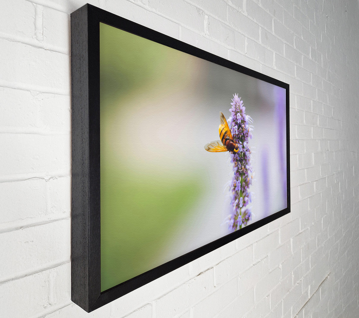 Purple Flower Buzz Canvas Wall Art