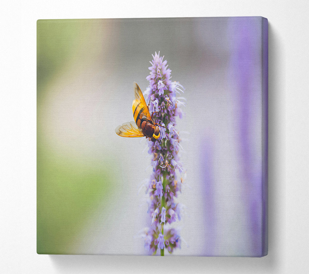 Purple Flower Buzz Canvas Wall Art