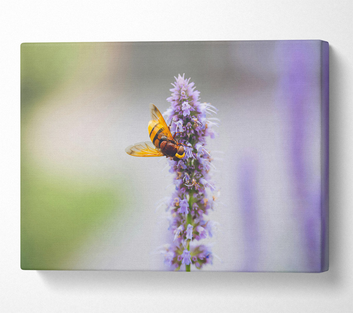 Purple Flower Buzz Canvas Wall Art