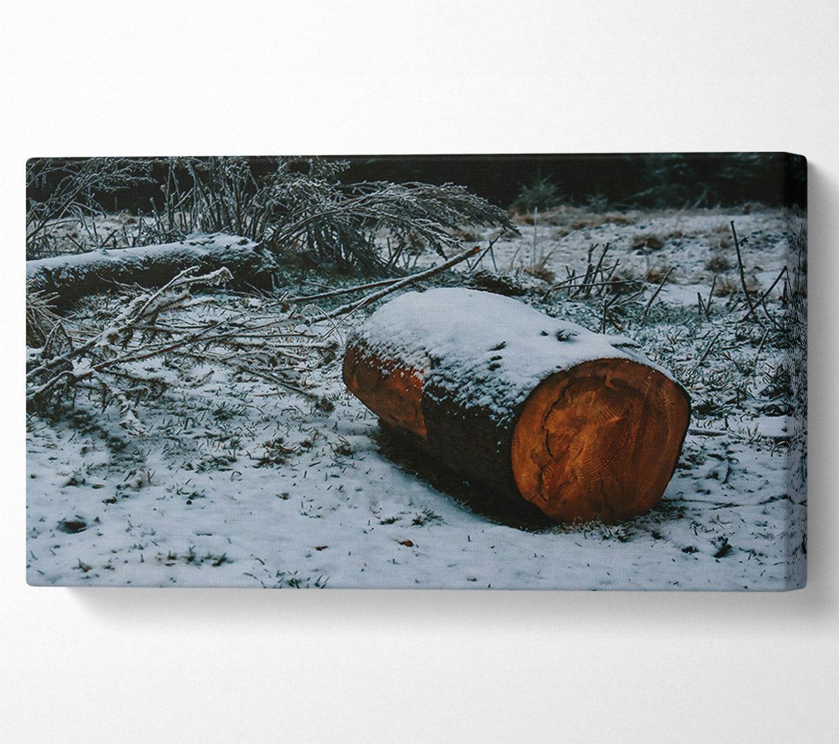 Brown Log In Snowfall Canvas Art
