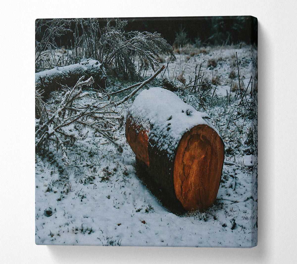 Brown Log In Snowfall Canvas Art