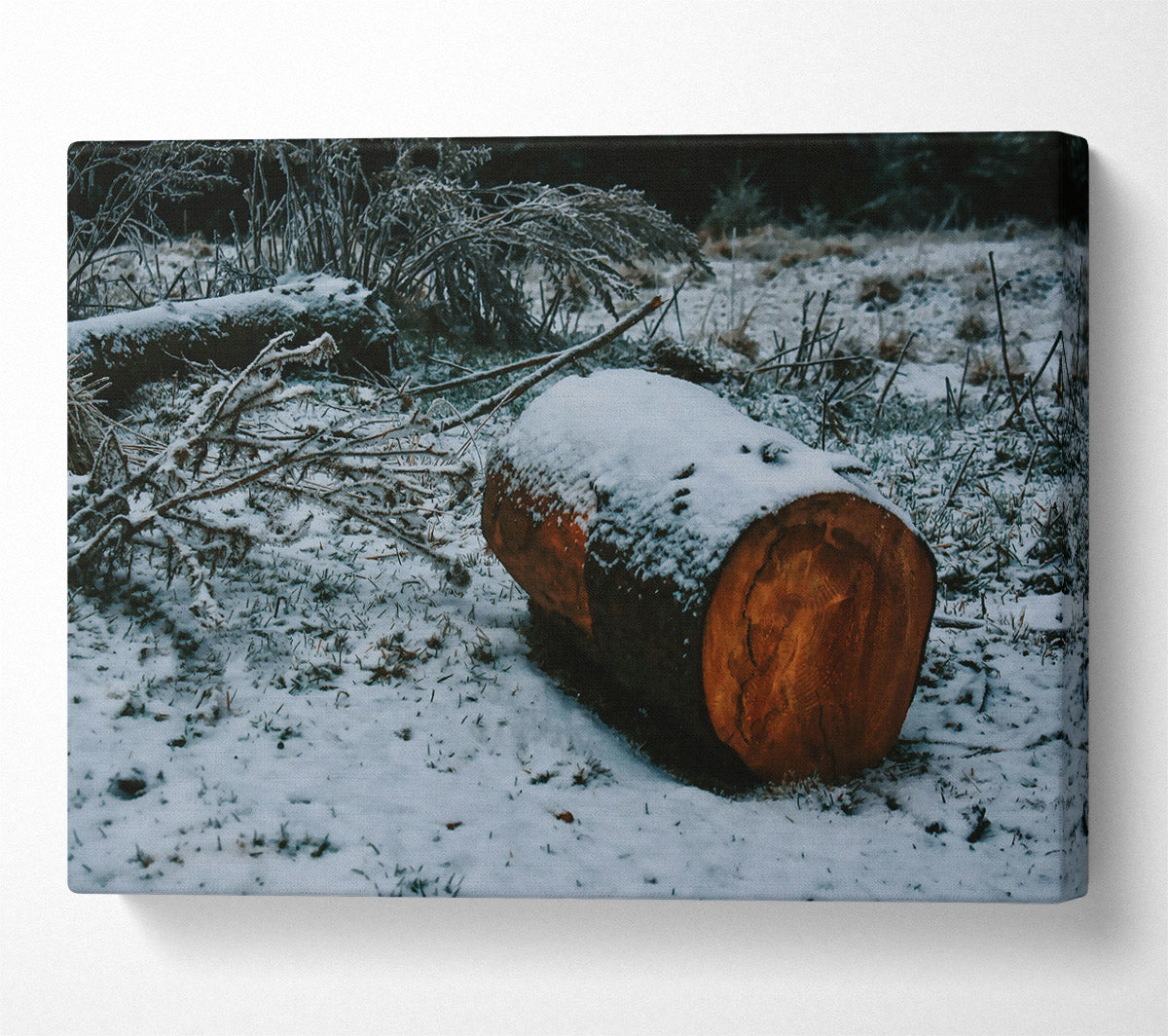 Brown Log In Snowfall Canvas Art