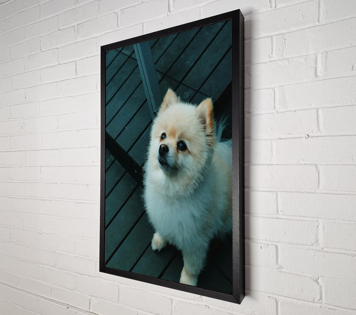 Teal Furry Friend Canvas Wall Art