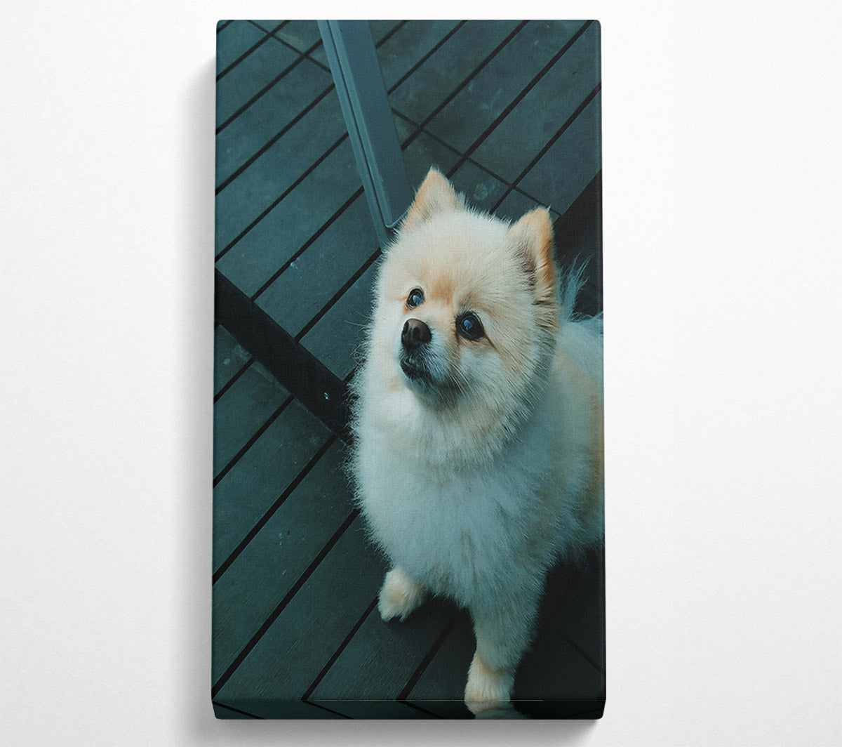 Teal Furry Friend Canvas Wall Art
