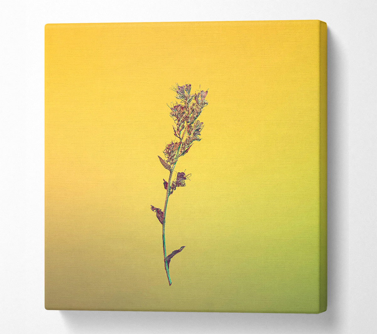 Yellow Stem Silhouette Canvas Wall Art