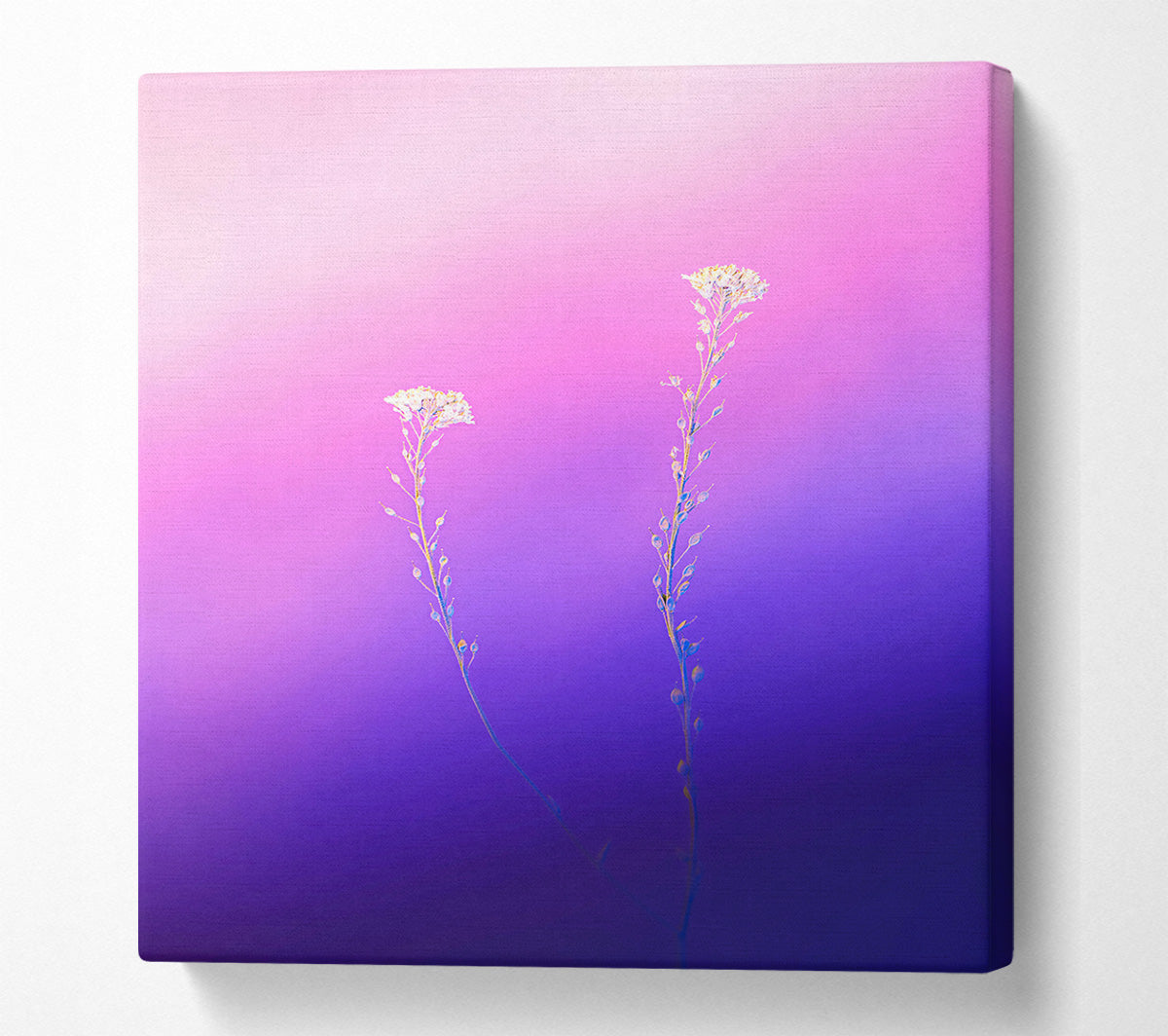 Purple Bloom Dreams Canvas Wall Art
