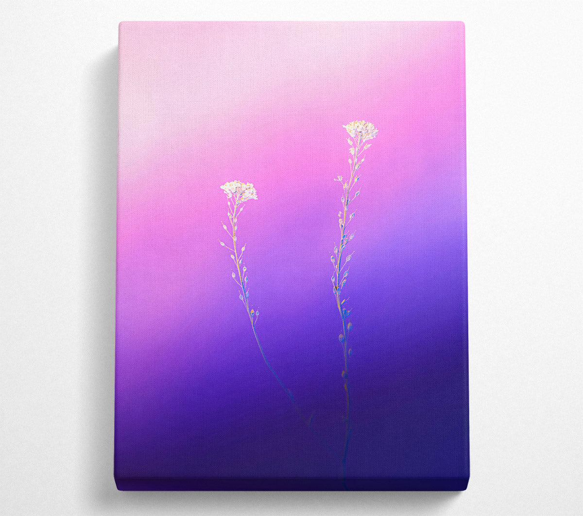 Purple Bloom Dreams Canvas Wall Art