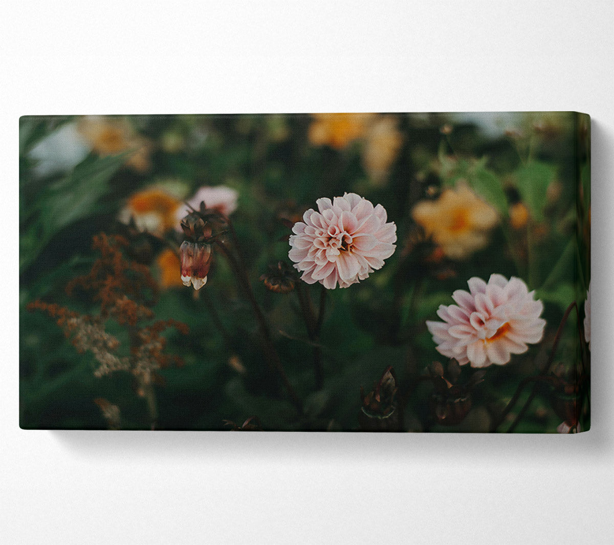 Pink Bloom In The Garden Canvas Art
