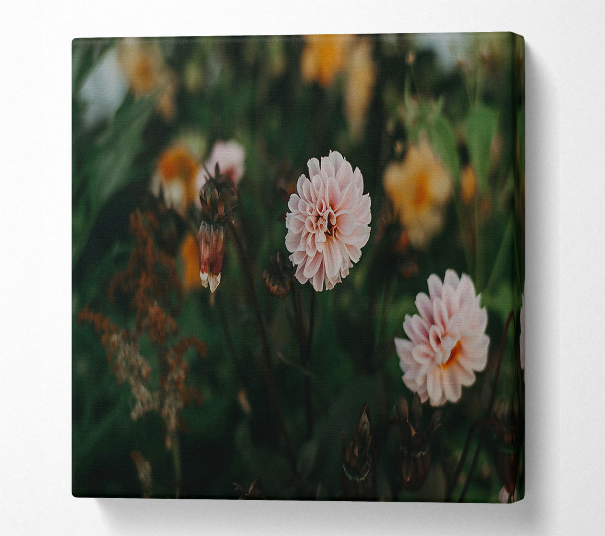 Pink Bloom In The Garden Canvas Art