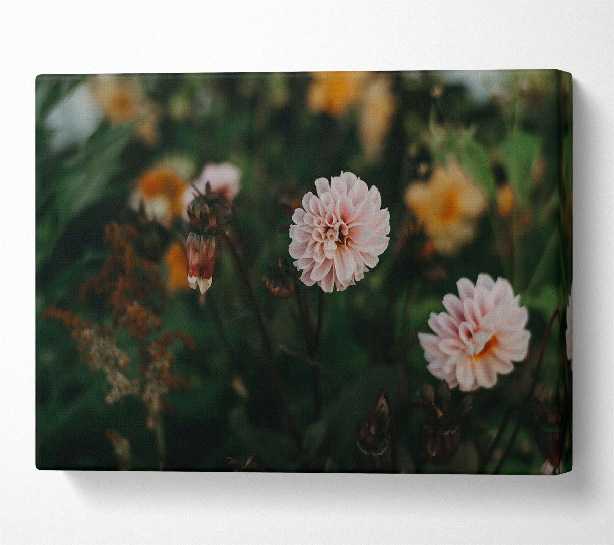 Pink Bloom In The Garden Canvas Art