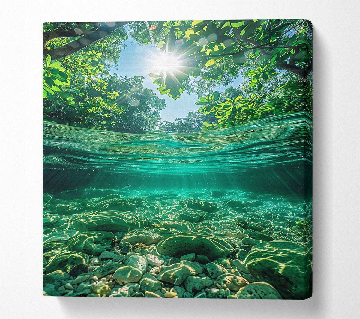 Emerald Riverbed Sunlight Canvas Wall Art