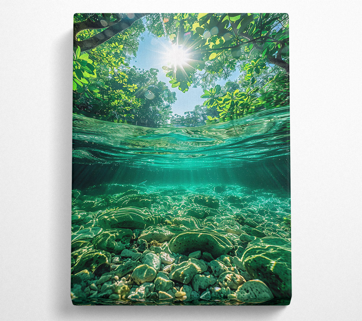Emerald Riverbed Sunlight Canvas Wall Art