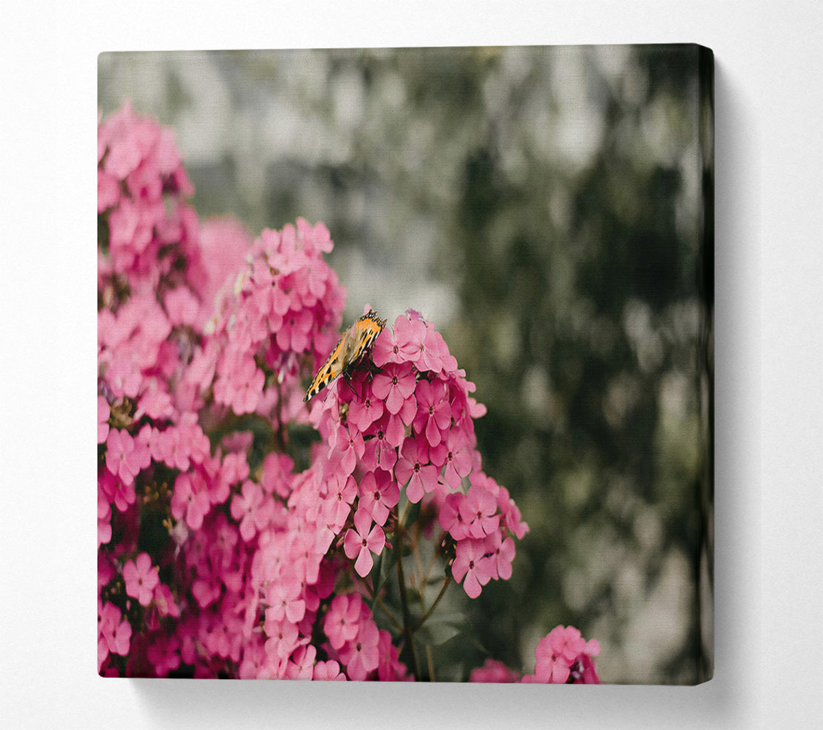 Pink Flowers And Butterfly Canvas Wall Art