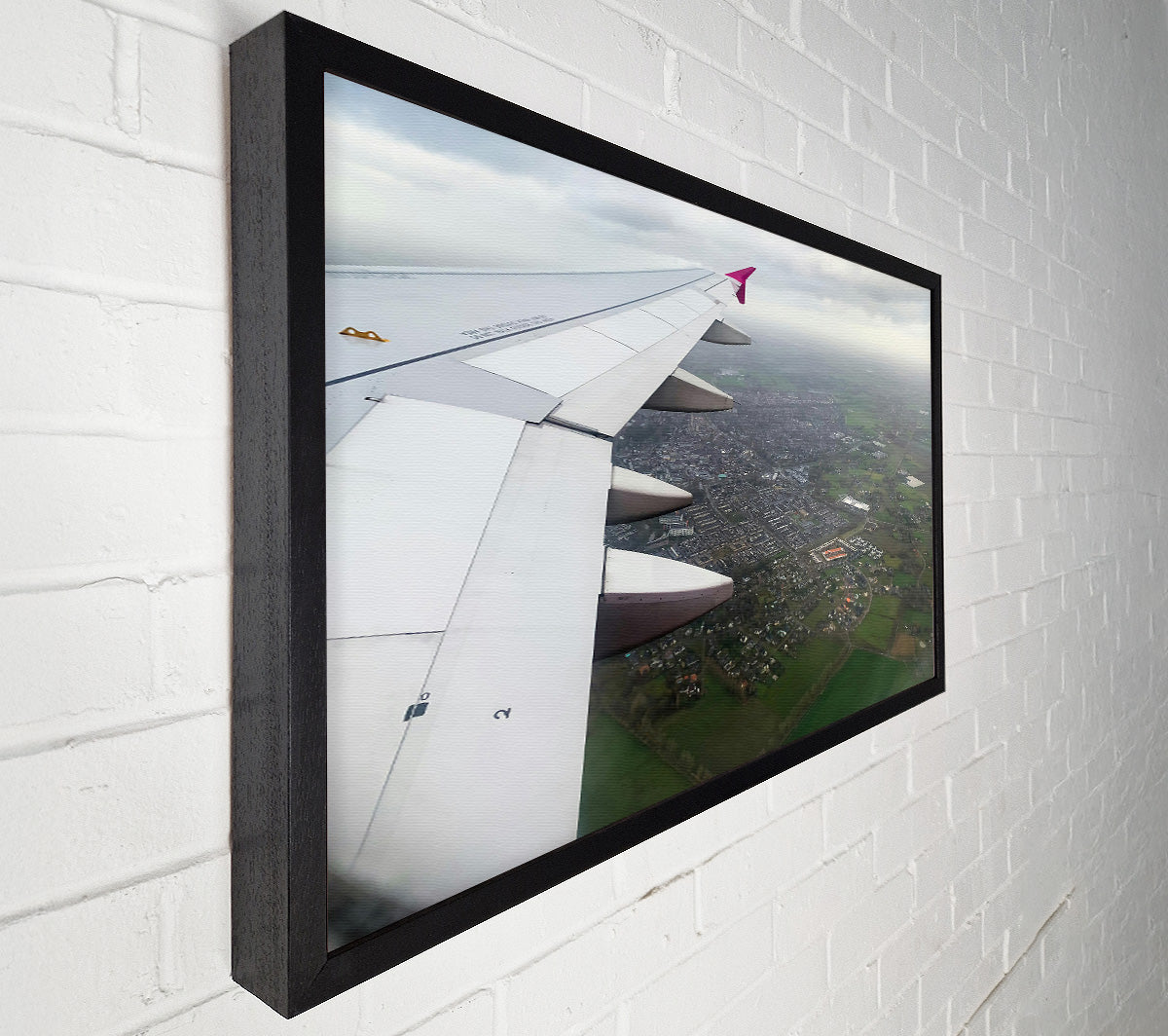 White Wing Over Green Fields Canvas Wall Art