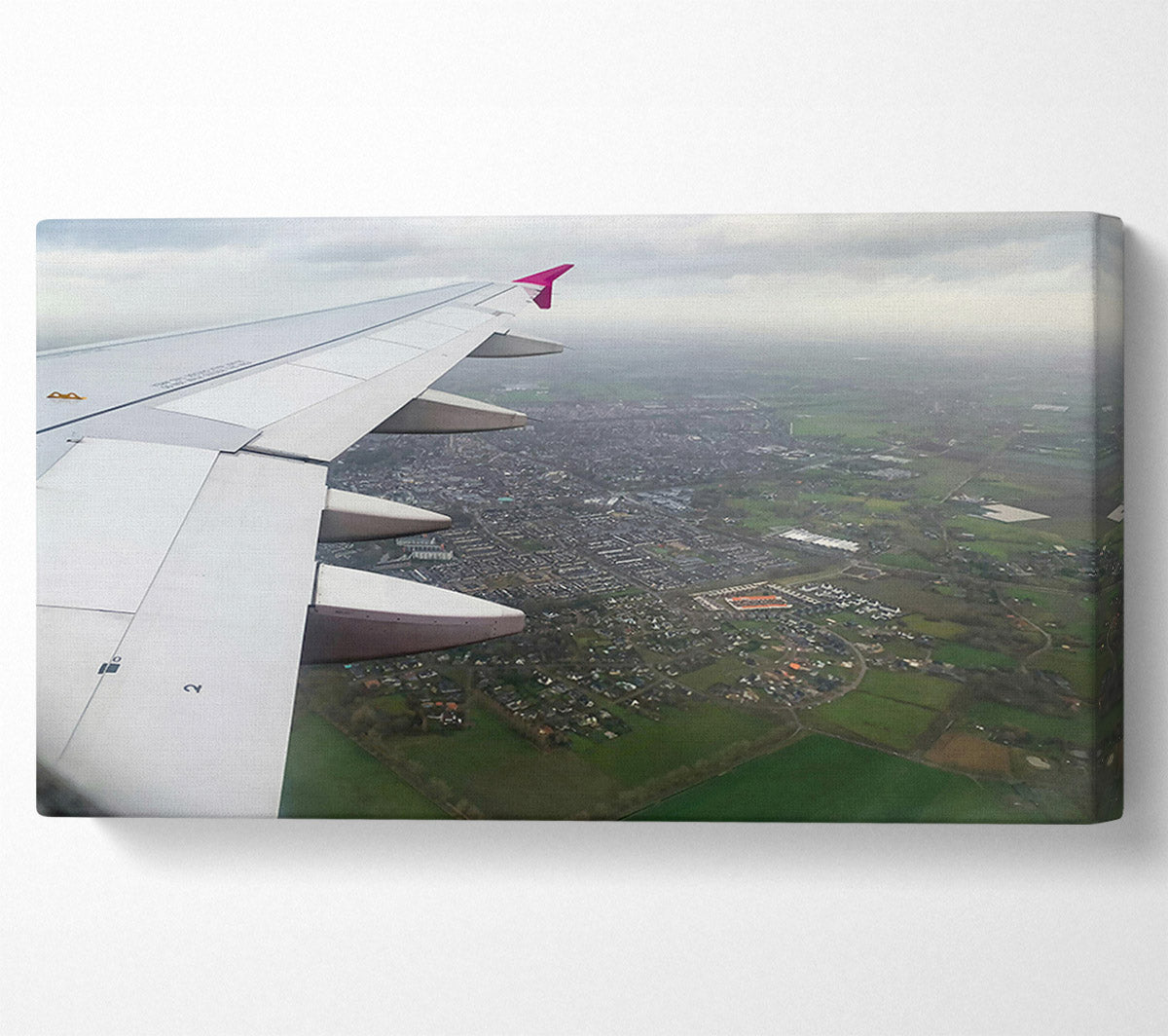 White Wing Over Green Fields Canvas Wall Art