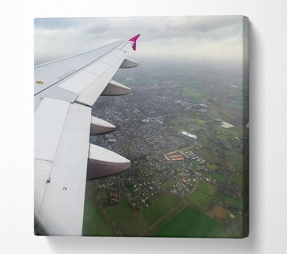 White Wing Over Green Fields Canvas Wall Art