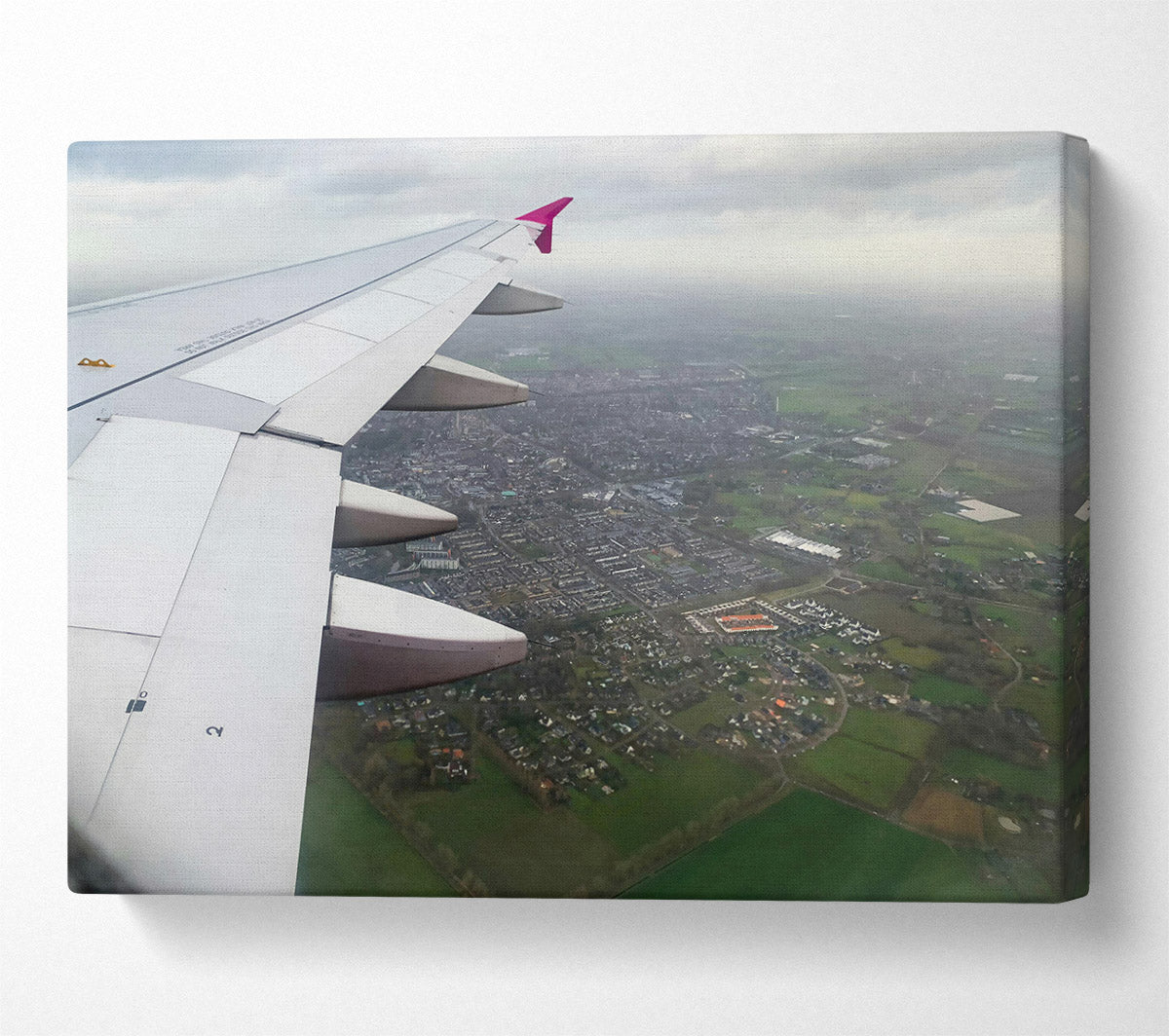 White Wing Over Green Fields Canvas Wall Art