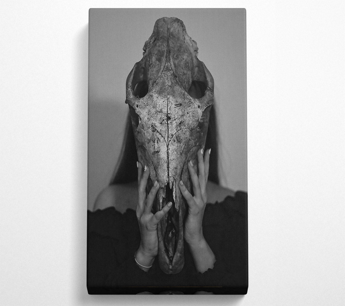 White Bone Embrace Canvas Wall Art