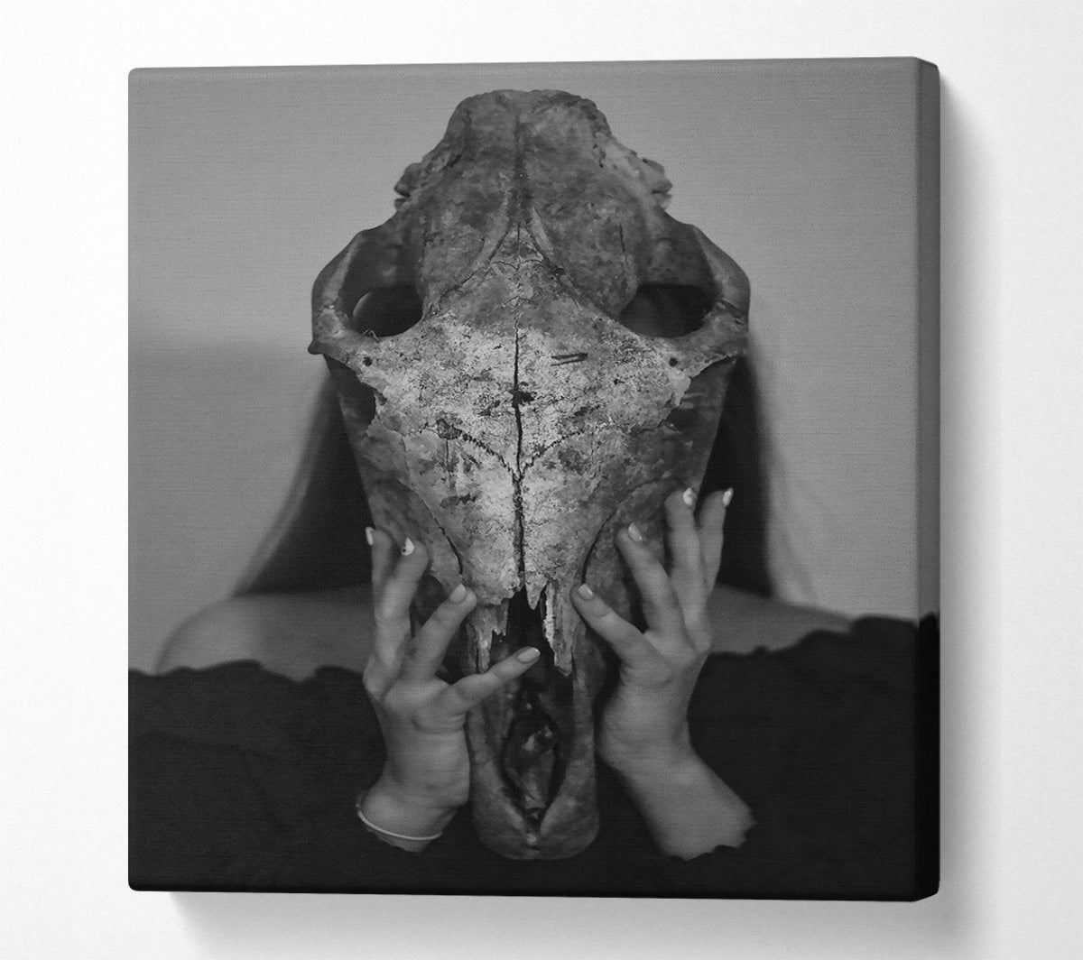 White Bone Embrace Canvas Wall Art