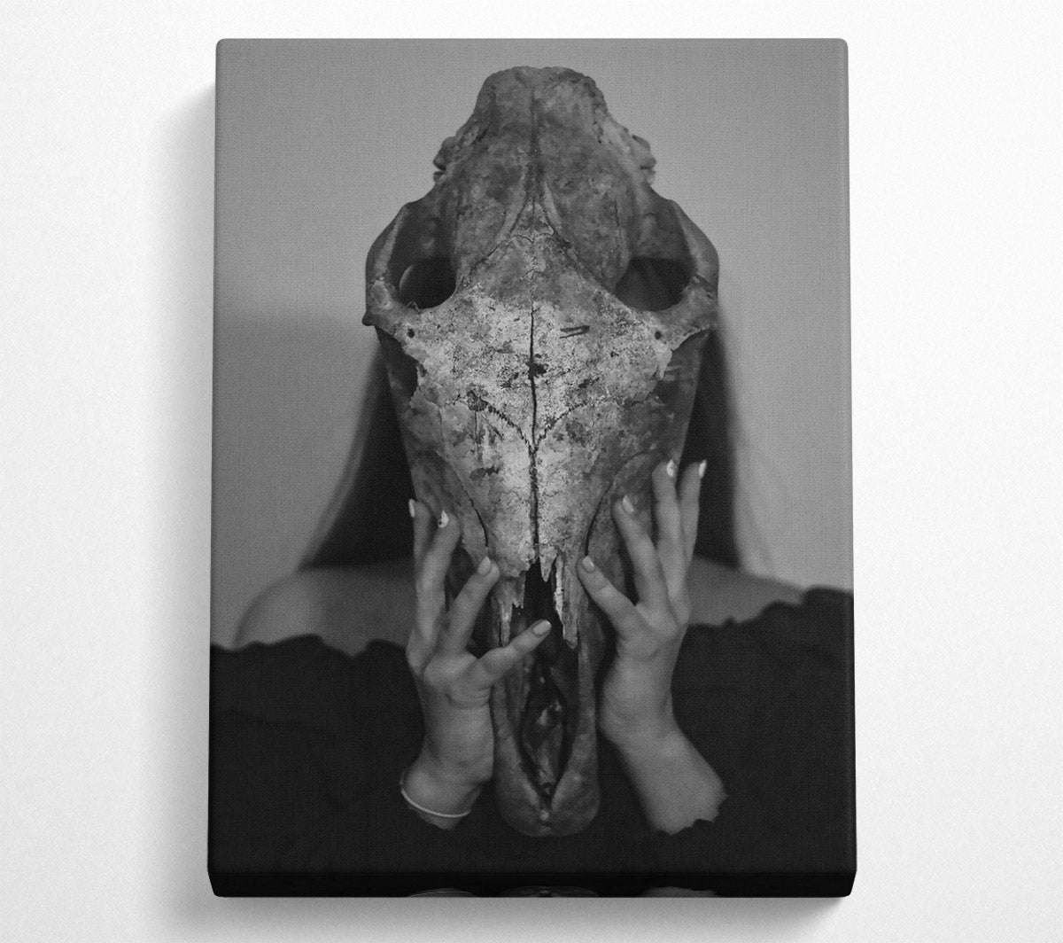 White Bone Embrace Canvas Wall Art