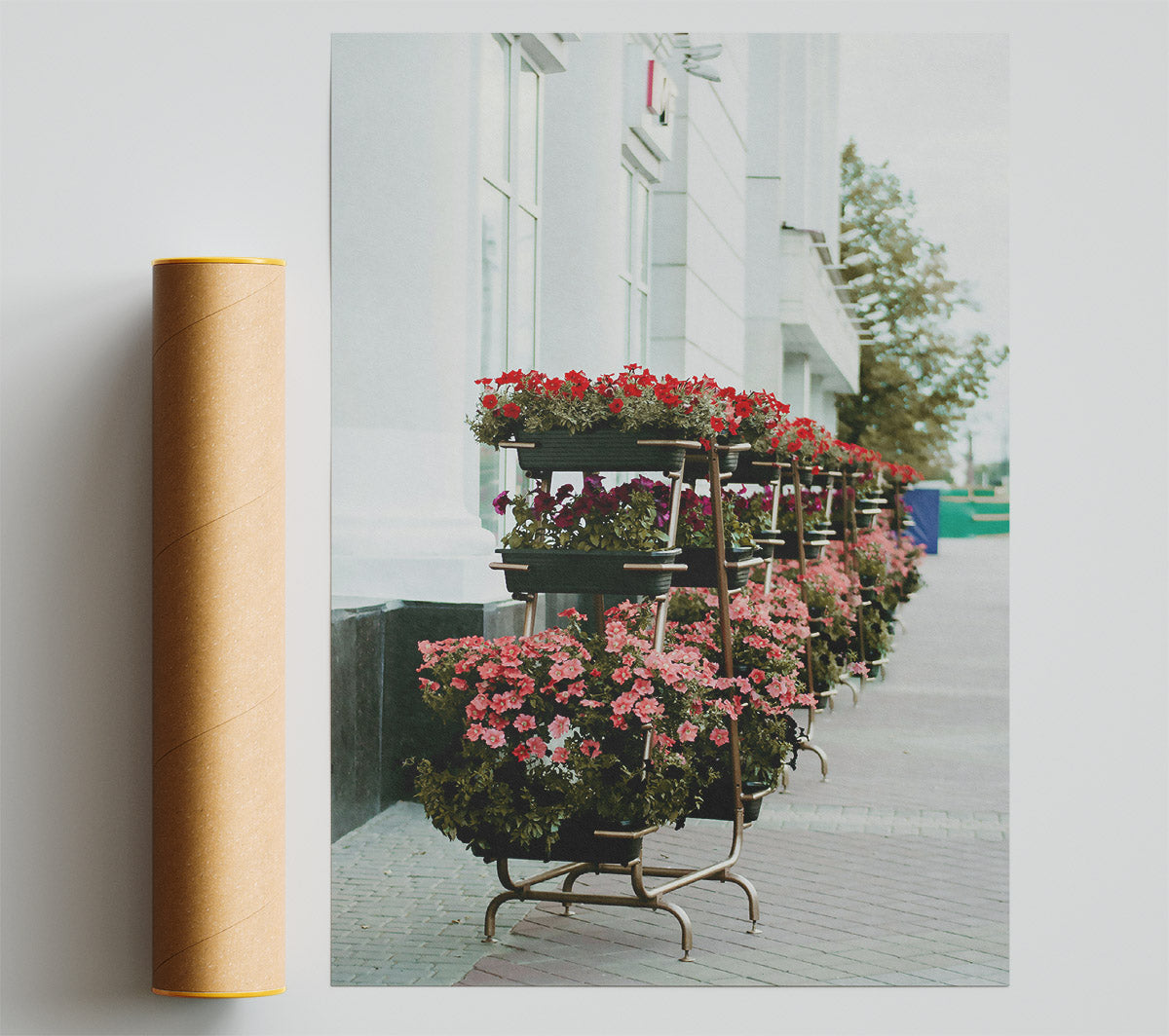 Pink City Blooms Giclee Print