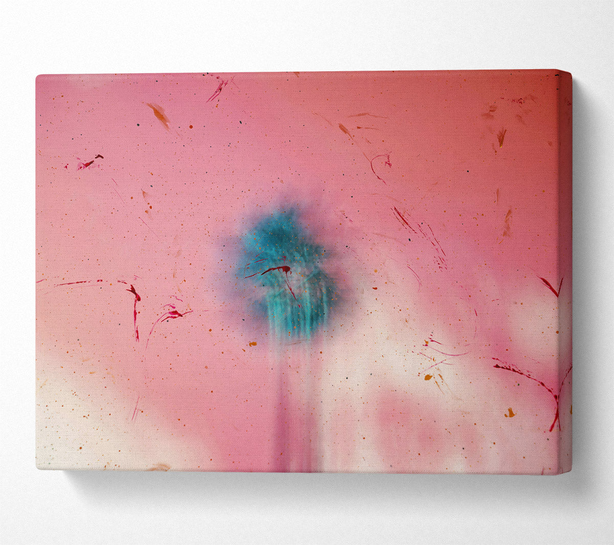 Pink Sky Burst Canvas Wall Art