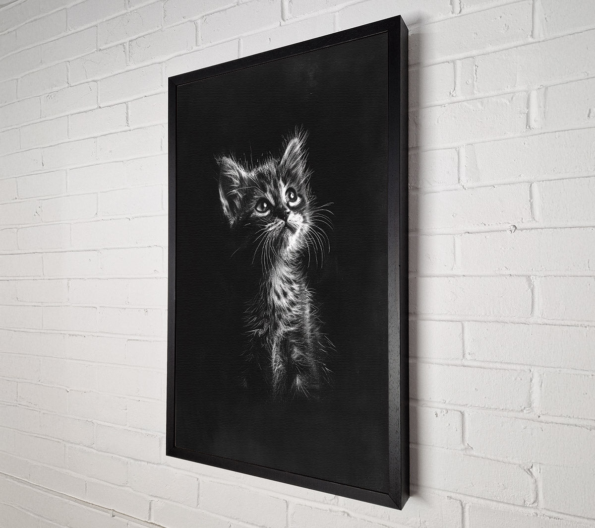 White Kitten Gaze Canvas Wall Art