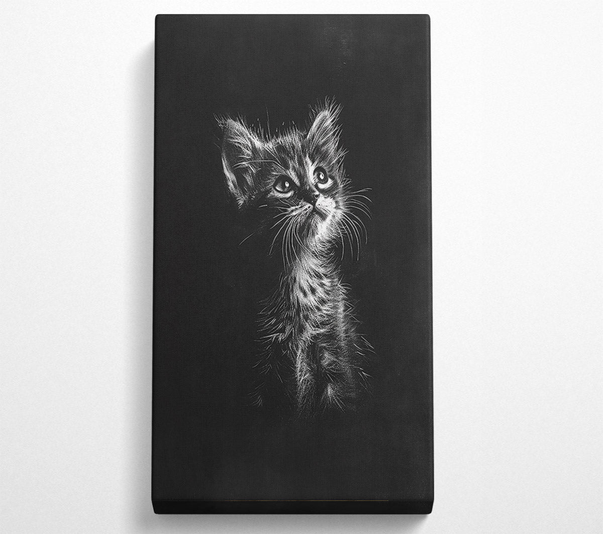 White Kitten Gaze Canvas Wall Art
