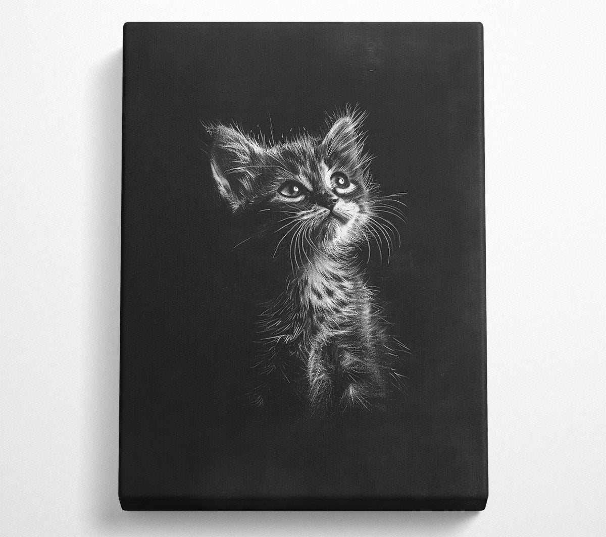 White Kitten Gaze Canvas Wall Art
