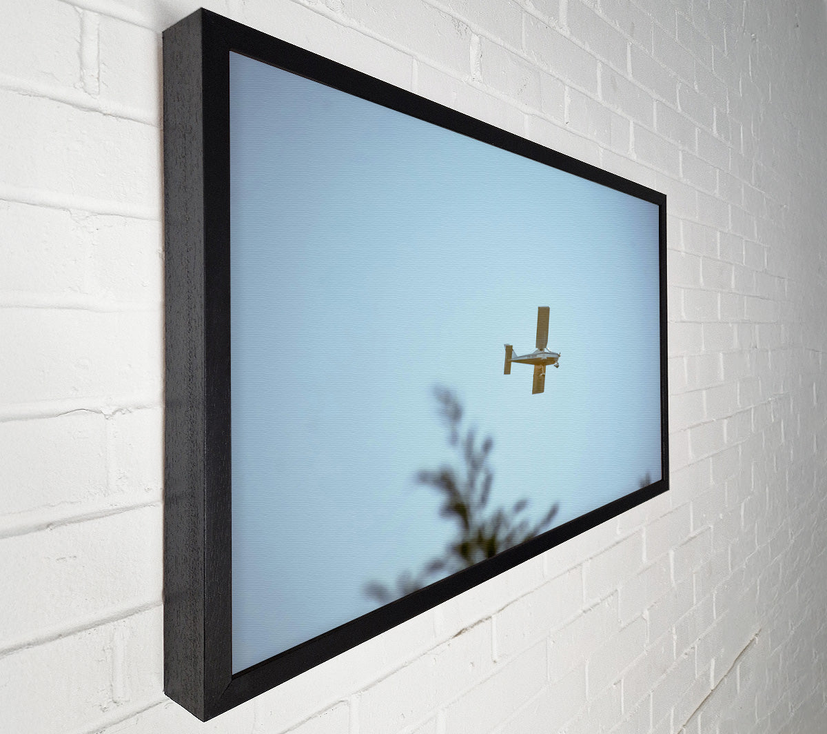 Blue Sky Solo Flight Canvas Print