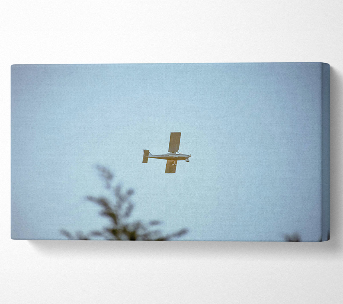 Blue Sky Solo Flight Canvas Print