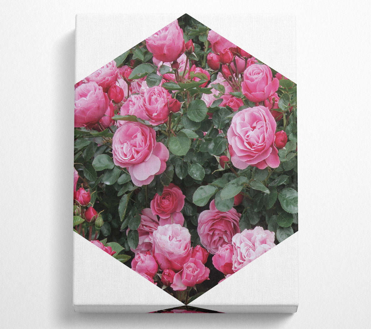 Pink Rose Canvas Art