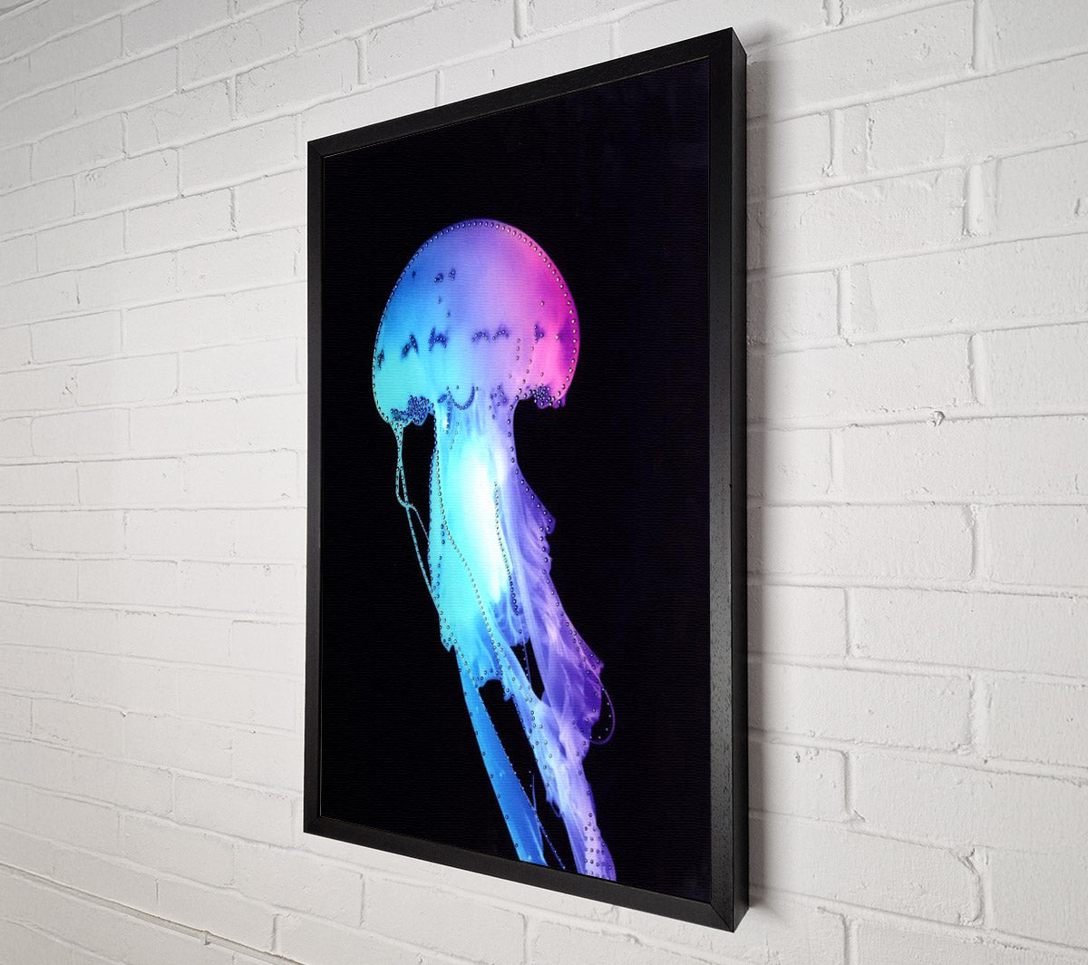 Rainbow Jellyfish Canvas Wall Art