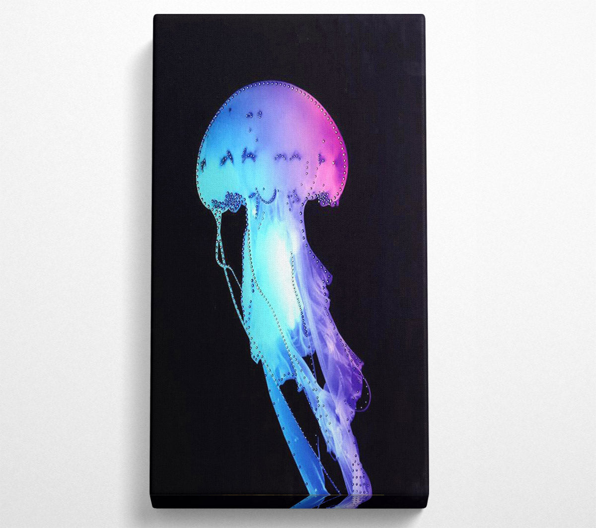 Rainbow Jellyfish Canvas Wall Art
