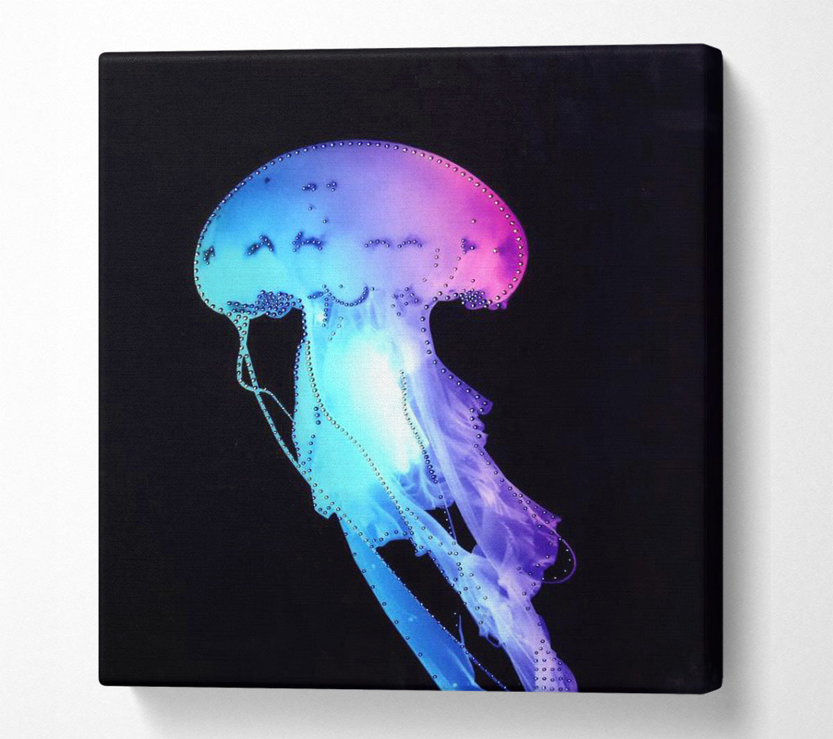 Rainbow Jellyfish Canvas Wall Art