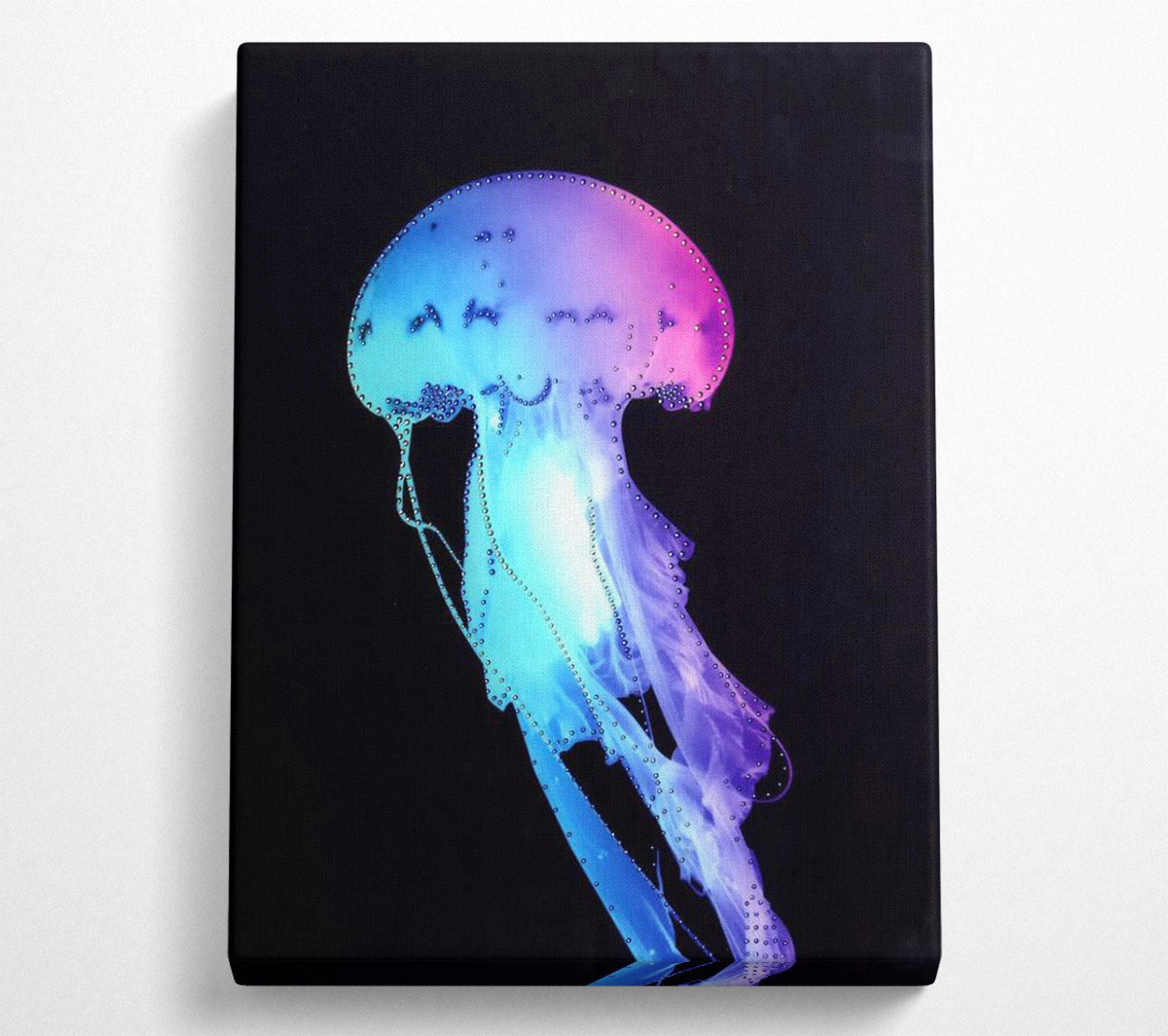Rainbow Jellyfish Canvas Wall Art