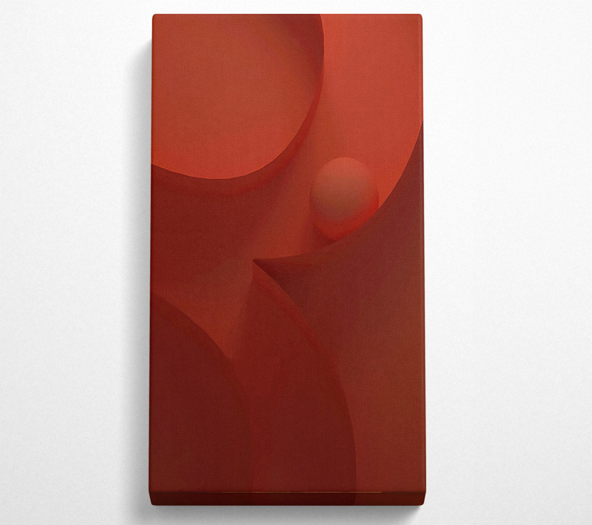 Red Ball Maze Canvas Wall Art