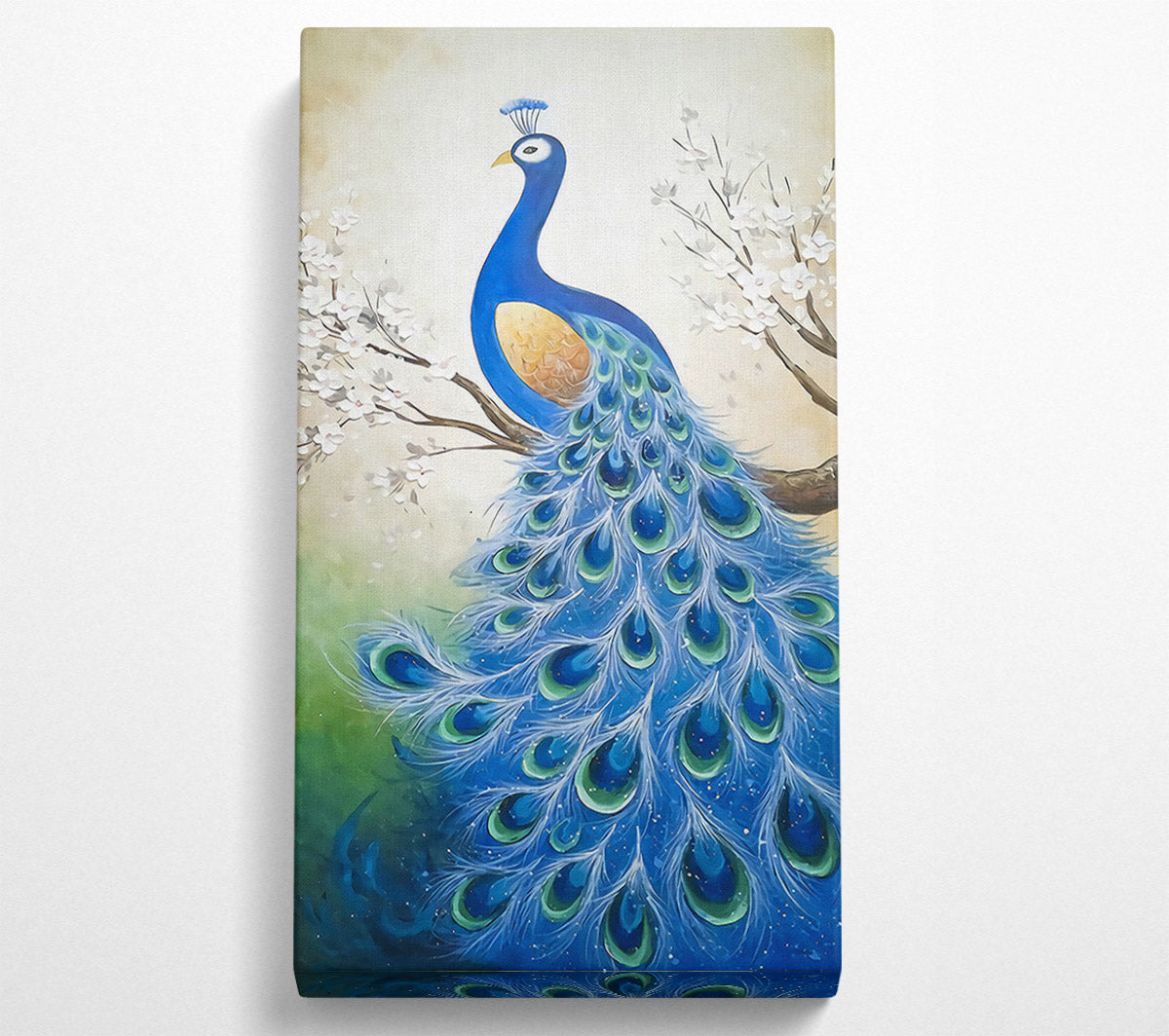 Stunning Peacock Canvas Wall Art