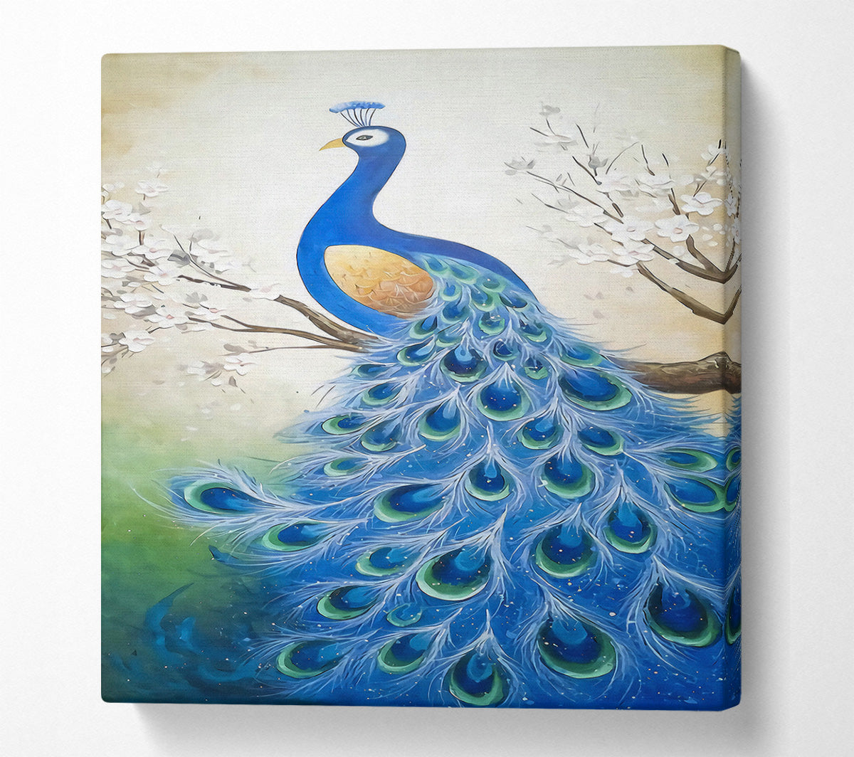 Stunning Peacock Canvas Wall Art
