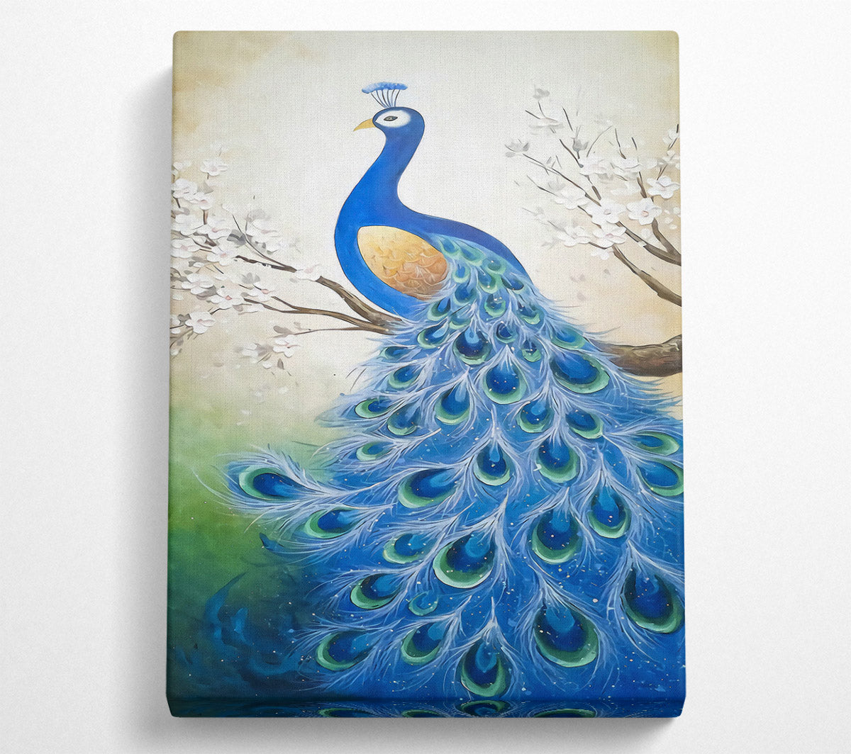 Stunning Peacock Canvas Wall Art