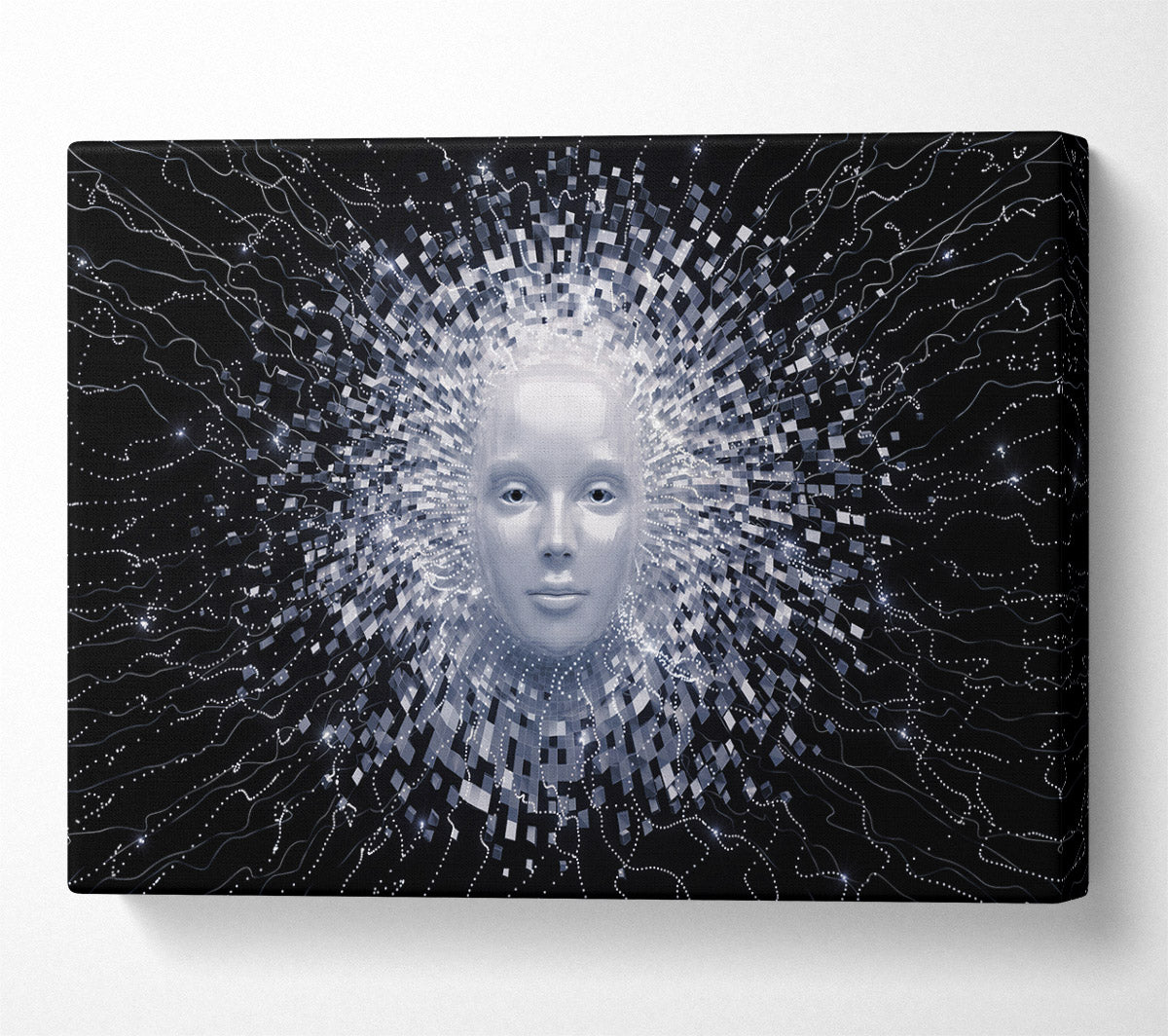 The Face Of Ai Canvas Wall Art