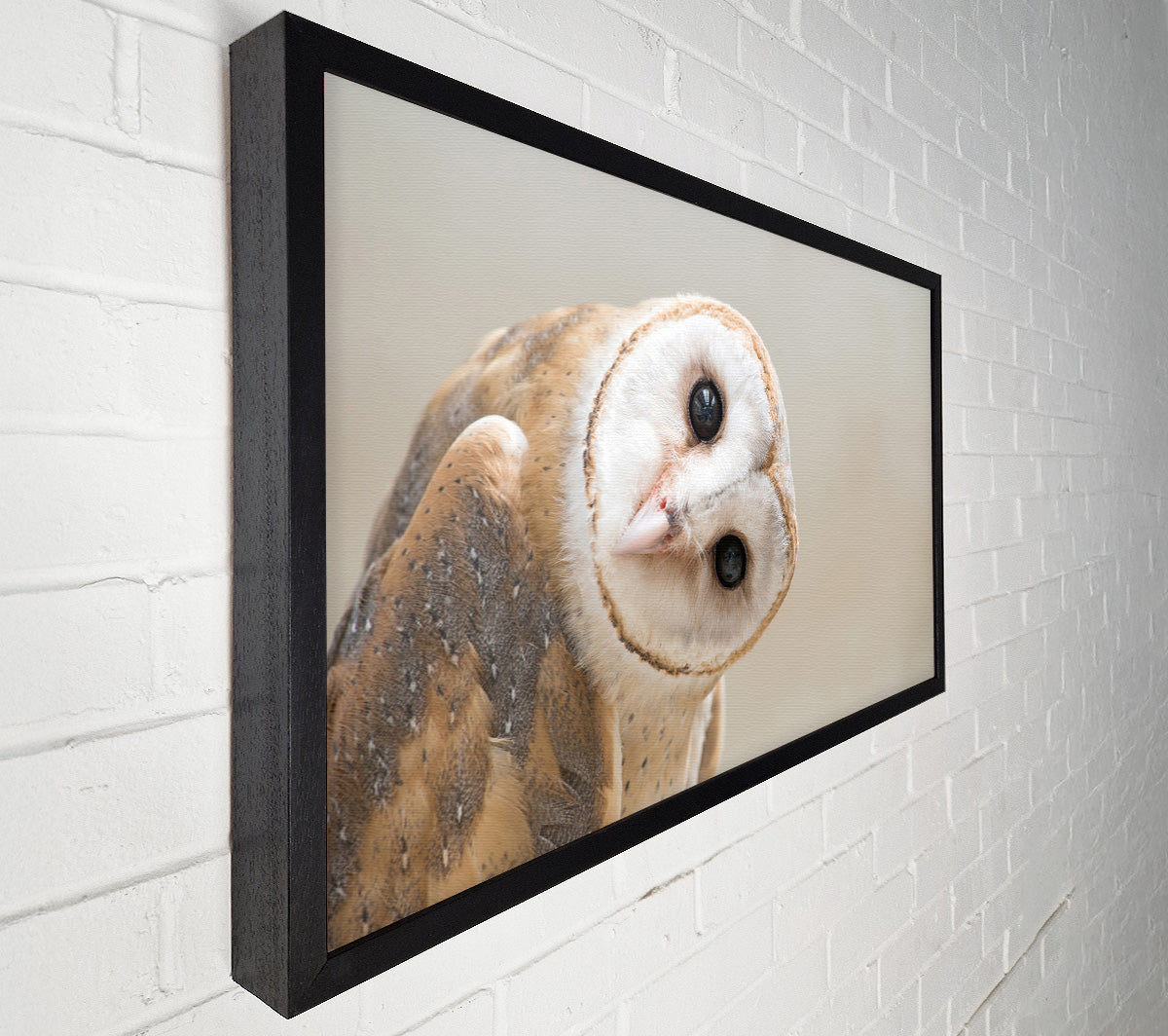 The Owl Turn Canvas Wall Art