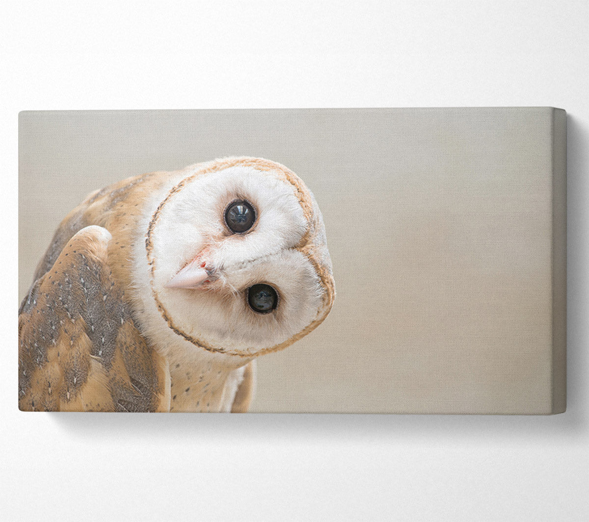 The Owl Turn Canvas Wall Art