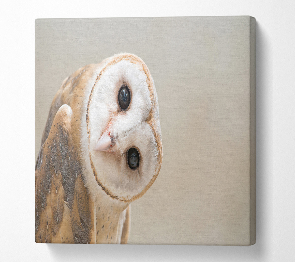 The Owl Turn Canvas Wall Art