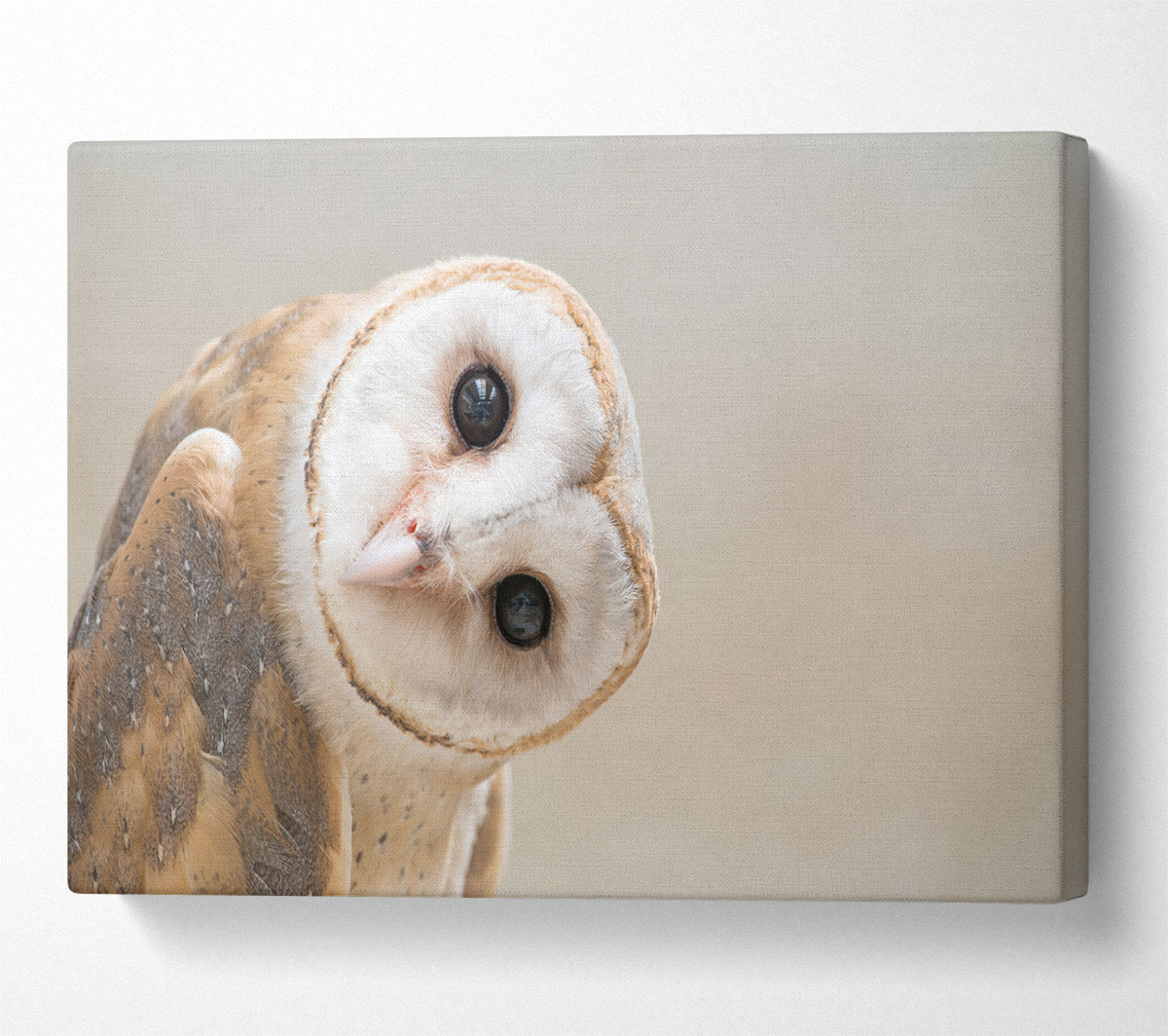 The Owl Turn Canvas Wall Art