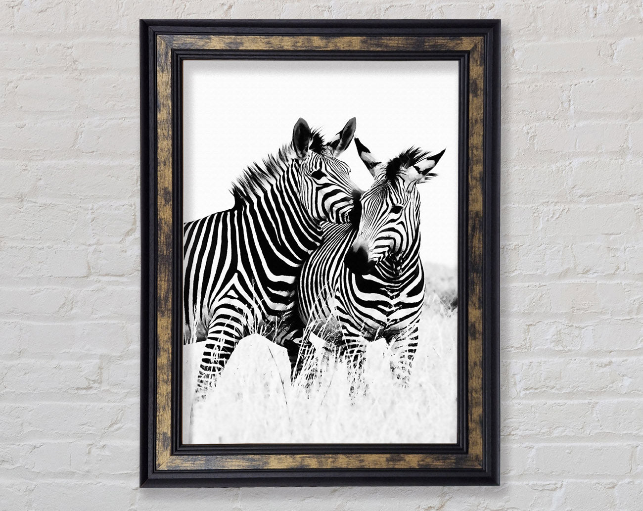 Two Zebras Together Framed Print