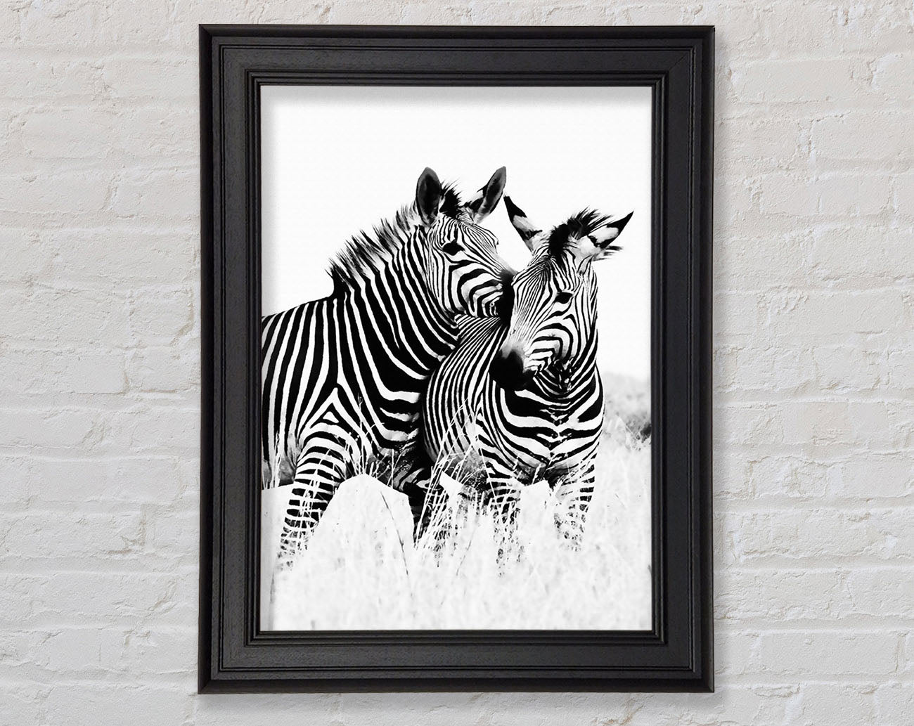 Two Zebras Together Framed Print