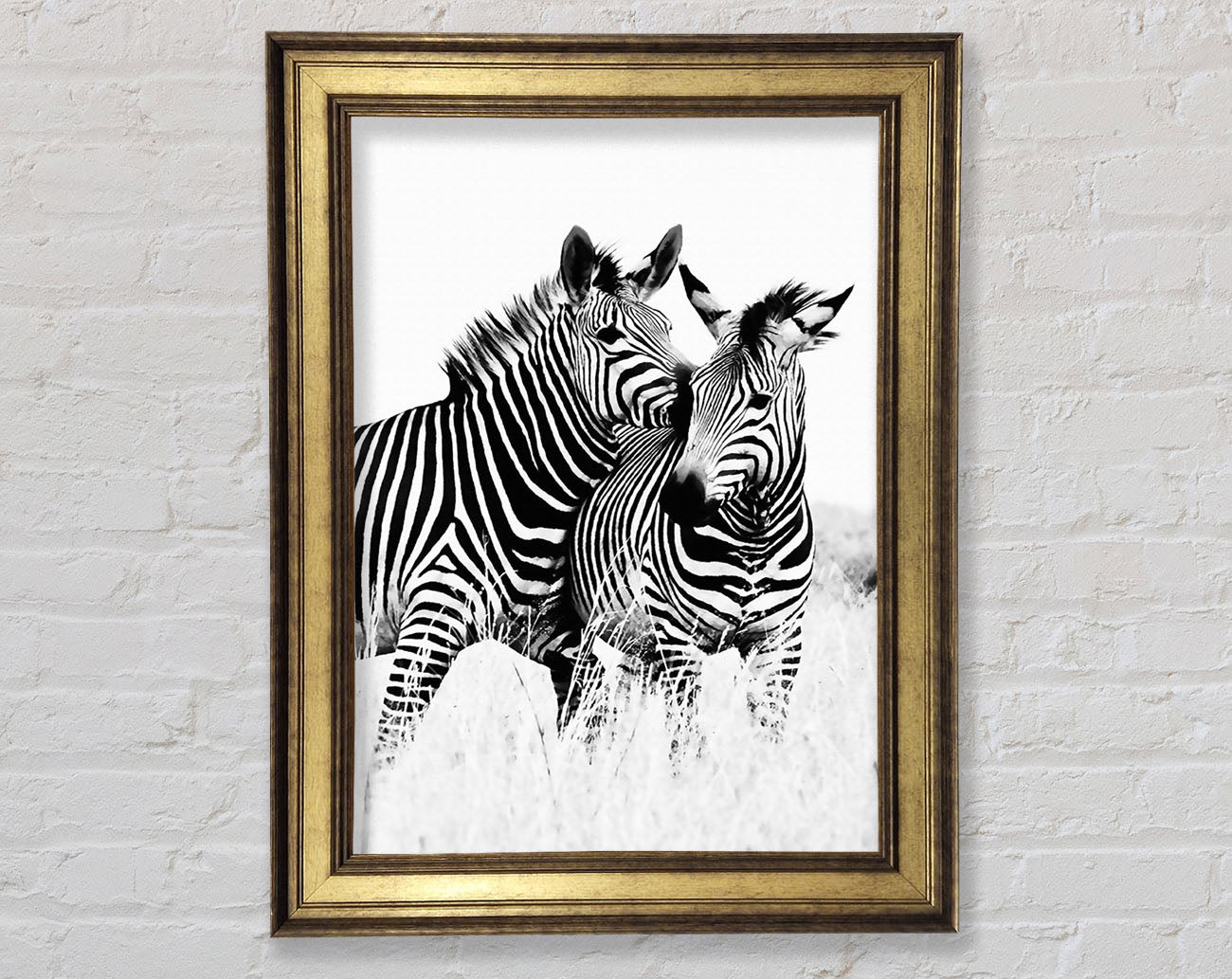 Two Zebras Together Framed Print