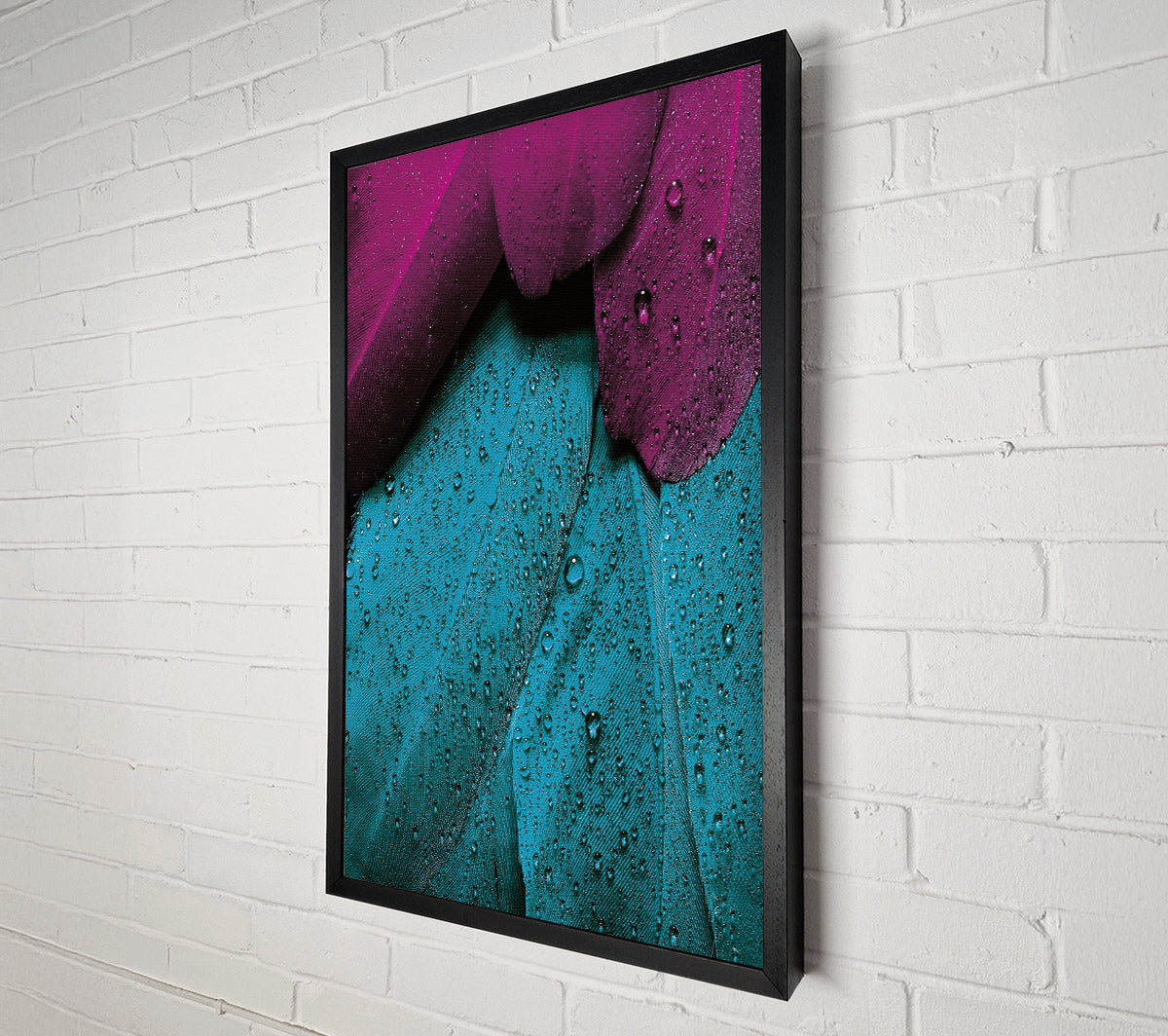 Water Drops On Feathers Canvas Wall Art
