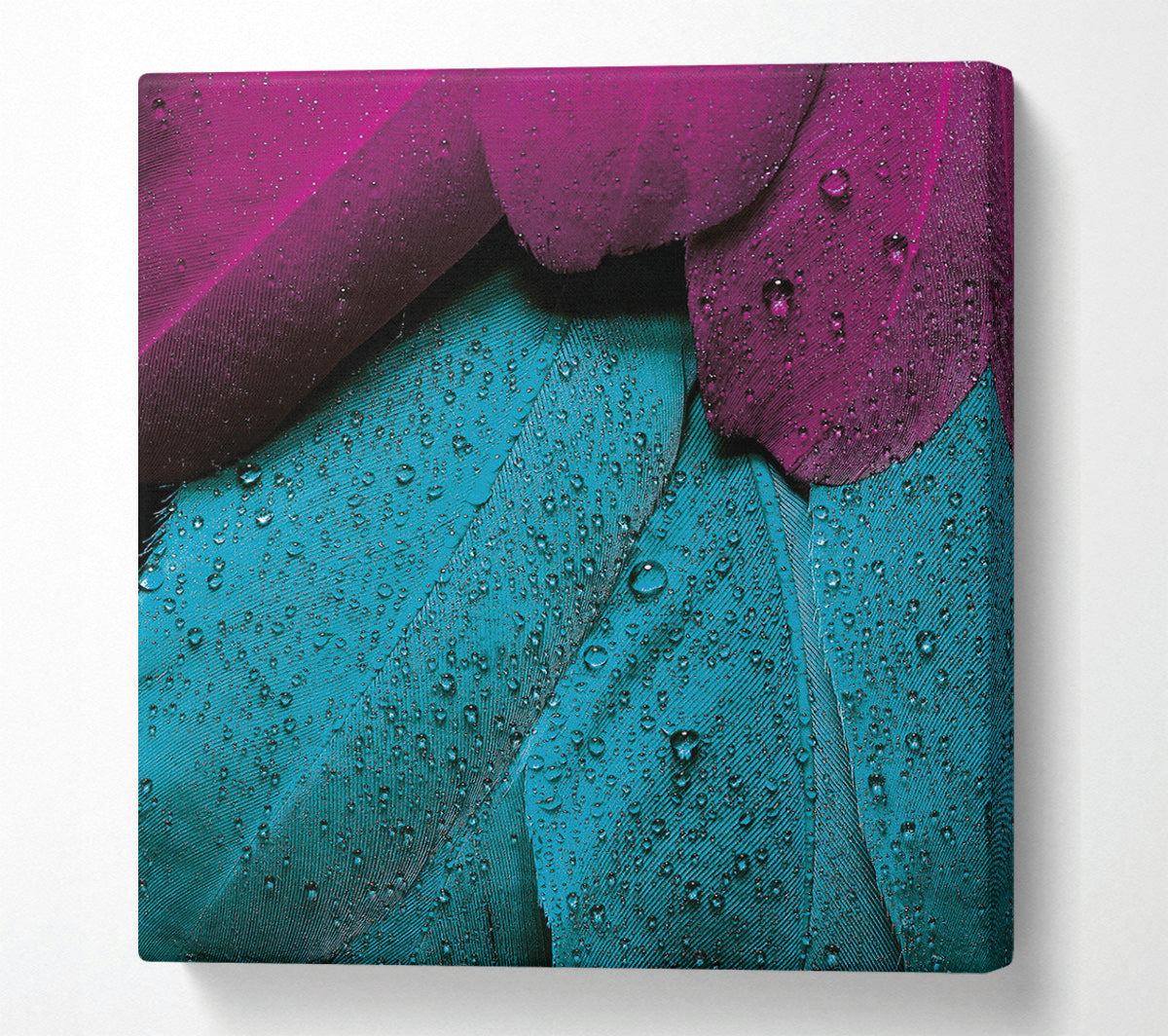 Water Drops On Feathers Canvas Wall Art